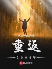 免费阅读小说重返2008年